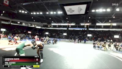 157 lbs Semifinal - Tre Haines, Arlington vs Jameson Davis, Selkirk