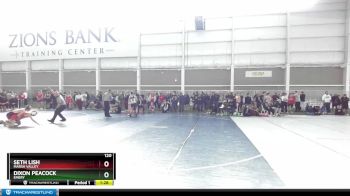 120 lbs Champ. Round 2 - Seth Lish, Marsh Valley vs Dixon Peacock, Emery