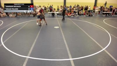157 lbs Quarters - Marquis Deloach, IL vs Nolan Fellers, IA