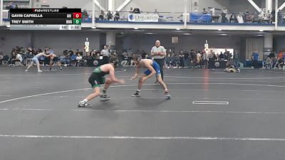133 lbs Round Of 32 - Gavin Caprella, Air Force Academy vs Trey Smith, Binghamton University