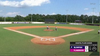 Replay: Home - 2024 Blowfish vs Flamingos - DH | Jun 17 @ 5 PM