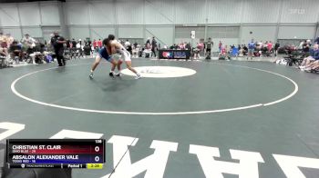 138 lbs Round 1 (8 Team) - Christian St. Clair, Ohio Blue vs Absalon Alexander Valencia, Texas Red