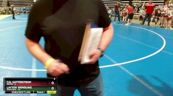 84 lbs Placement (4 Team) - Cal Satterstrom, Rocori vs Layton Wendling, Owatonna