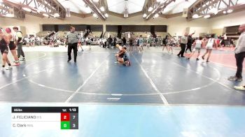 85 lbs Rr Rnd 2 - Julius FELICIANO, Shore Thing Surf vs Cayden Clark, Rebellion