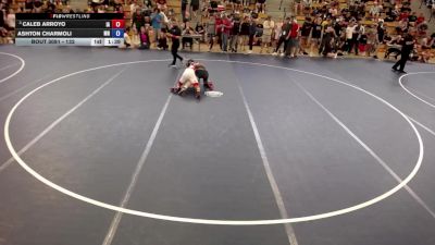 132 lbs Champ. Round 2 - Caleb Arroyo, IA vs Ashton Charmoli, MN