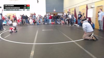 49 lbs Champ. Rd Of 16 - Lane Baumer, Grace Wrestling Club vs Colton Richardson, 208 Badgers Wrestling Club