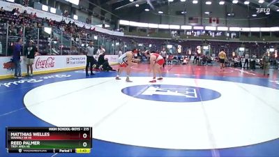 215 lbs Champ. Round 1 - Matthias Welles, Waverly Sr HS vs Reed Palmer, Troy Area Hs