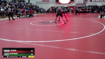 189 lbs Quarterfinal - Aidan Mattison, Marshall vs Ezekiel Olson, Wabasso