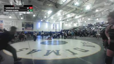 115 lbs Semifinal - Epenesa Elison, Los Altos vs Angelique Mexia, Esperanza