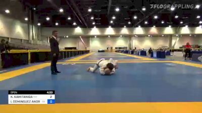 KOUICHI KAMITANIDA vs IGOR DOMINGUEZ ANDRADE 2022 World Master IBJJF Jiu-Jitsu Championship