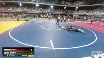 6A 175 lbs Quarterfinal - Nehemia Hayes, Cypress Creek vs Boede Gibson, Southlake Carroll