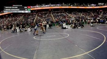 126 lbs Cons. Round 2 - Denise Hernandez, Elkin High School vs Waylan Collins, West Rowan