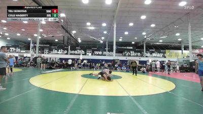 134 lbs Rr Rnd 2 - Teli Bobotas, Team Nauman DC United - HSC vs Cole Hagerty, Revival Pink - HSC