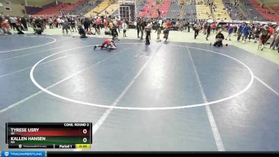 98 lbs Cons. Round 2 - Tyrese Usry, WI vs Kallen Hansen, ND