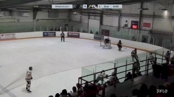 Replay: Home - 2025 Menace vs Cougars | Mar 10 @ 8 PM