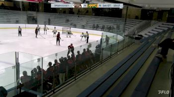 Replay: Home - 2024 Gamblers vs CHI Cougars | Mar 3 @ 11 PM