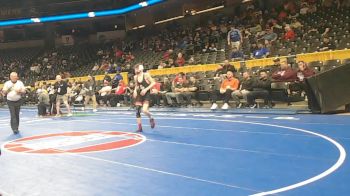 113 Class 2 lbs Champ. Round 1 - Kyle Andres, Affton vs Peter Heyen, Southern Boone