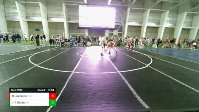 175 lbs Cons. Round 3 - Terry Ricks, Fremont vs Max Jackson, Weber