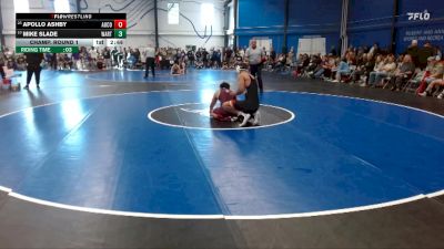 Elite 174 lbs Champ. Round 1 - Apollo Ashby, Augsburg College vs Mike Slade, Wartburg