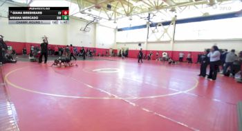 135 lbs Champ. Round 1 - Giana Breshears, Central Valley vs Ariana Mercado, Golden Valley (Bakersfield)