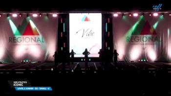 Vibe Athletics - Iconic [2025 L2 Junior - D2 - Small - A Day 1] 2025 The Northeast Regional Summit