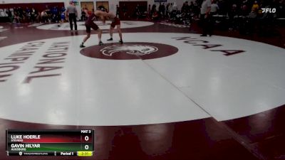 141 lbs Quarterfinal - Gavin Hilyar, Augsburg vs Luke Hoerle, Stevens