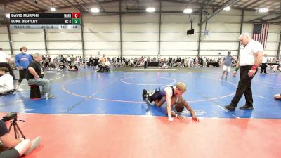 105 lbs Rr Rnd 2 - David Murphy, Warhawks - MS vs Luke Bentley, NC Gold - MS