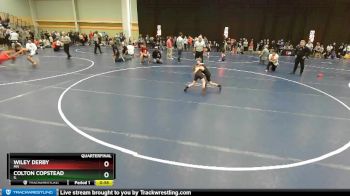 49 lbs Quarterfinal - Colton Copstead, IL vs Wiley Derby, MN
