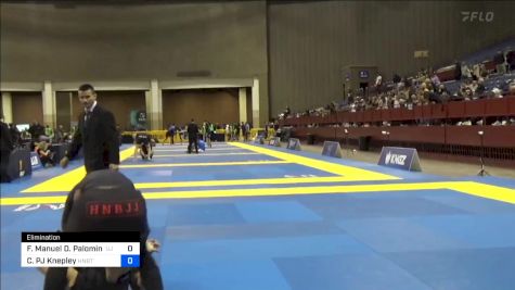 Franco Manuel D. Palomino vs Caleb PJ Knepley 2024 Pan IBJJF Jiu-Jitsu No-Gi Championship