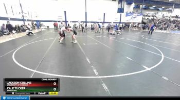 125 lbs Cons. Round 1 - Jackson Collins, University Of Chicago vs Cale Tucker, Wartburg