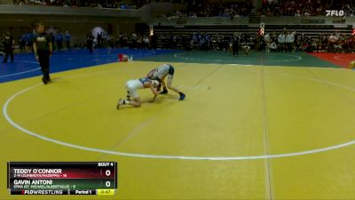 70 lbs Placement (4 Team) - Gavin Antoni, STMA (St. Michael/Albertville) vs Teddy O`Connor, Z-M (Zumbrota/Mazeppa)