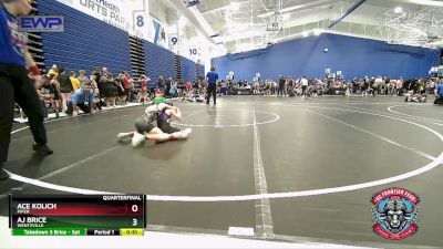 64 lbs Quarterfinal - Ace Kolich, Piper vs Aj Brice, Wentzville