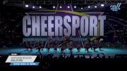 Southaven Wildcats - Majors [2023 L4 Senior - D2 - Medium] 2023 CHEERSPORT National All Star Cheerleading Championship