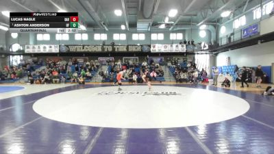 141 lbs Quarterfinal - Ashton Anderson, Findlay vs Lucas Nagle, Davenport