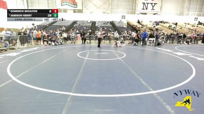 81 lbs Cons. Round 3 - Jamison Henry, Springville Youth Wrestling vs Dominick Moulton, Brawler Elite
