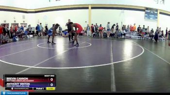 138 lbs Semifinal - Brevin Cannon, Red Cobra Wrestling Academy vs Anthony Hinton, Highland Wrestling Club