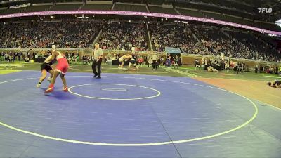 D1-175 lbs Cons. Round 3 - Darnel Boyd, Roseville HS vs Nate Stark, Brighton HS