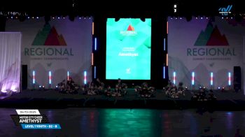 Motor City Cheer - Amethyst [2025 L1 Youth - D2 - B 04/13/2025] 2025 The Midwest Regional Summit