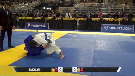 Nancy L. Wei vs Priscilla Rocha Figueiredo 2025 Pan Jiu Jitsu IBJJF Championship