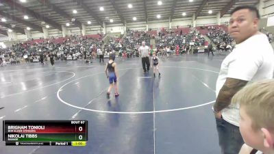 62 lbs Semifinal - Brigham Tonioli, Box Elder Stingers vs Nikolai Tibbs, Ravage