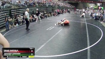 110 lbs Round 2 (6 Team) - Anthony Zuranski, Indiana Gold vs Drake Sheffield, Oklahoma Elite Orange