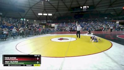 56 lbs Semifinal - Troy Blevins, Punisher Wrestling Company vs Tate Eaton, Maddogs Wrestling