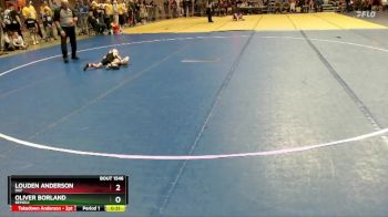 40 lbs Cons. Round 2 - Oliver Borland, Bemidji vs Louden Anderson, DGF