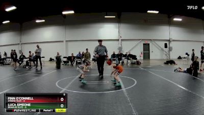 48 lbs Finals (2 Team) - Finn O`Connell, Xtreme Team vs Luca Simeone, Brawler Elite