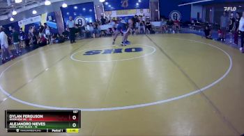 157 lbs Round 2 (8 Team) - Alejandro Nieves, SOWA / HWC BLACK vs Dylan Ferguson, Riverview WC