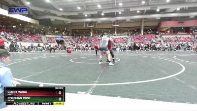 110 lbs 3rd Place Match - Coleman Wise, Salina vs Colby Ward, MAC