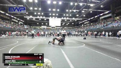 125 lbs Cons. Round 3 - Adam Rea, Open Mats Wrestling Club vs Dion Schuler, Individual