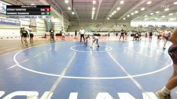 95 lbs 5th Place - Ethan VanDyke, Team Michigan vs Dominic Giannoni, Revival Orange