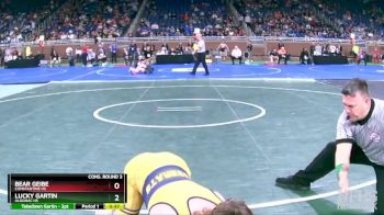 D3-132 lbs Cons. Round 3 - Bear Geibe, Constantine HS vs Lucky Gartin, Algonac HS