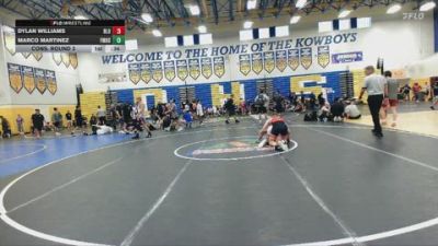 157 lbs Cons. Round 3 - Dylan Williams, Bloomingdale vs MArco Martinez, Fort Myers High School